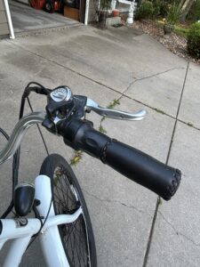 Electric Bicycle PEDEGO INTERCEPTOR